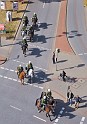 Bunt statt braun   137